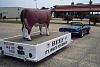 Sunday ride-100_1720.jpg
