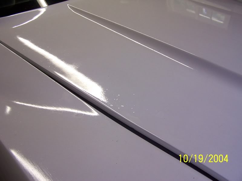 Name:  100_0626.jpg
Views: 48
Size:  36.7 KB
