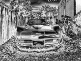 Name:  Starship3.jpg
Views: 20
Size:  13.1 KB