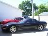 Name:  vette.jpg
Views: 80
Size:  6.2 KB