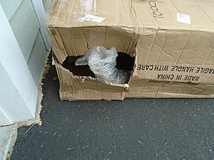 At 1/3 the price, are they any good???-dsc00291.jpg