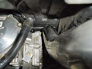 At 1/3 the price, are they any good???-dsc00344_1.jpg