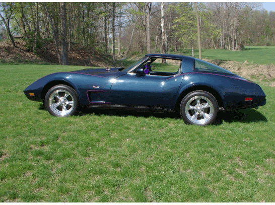 Name:  SideView.gif
Views: 59
Size:  174.6 KB