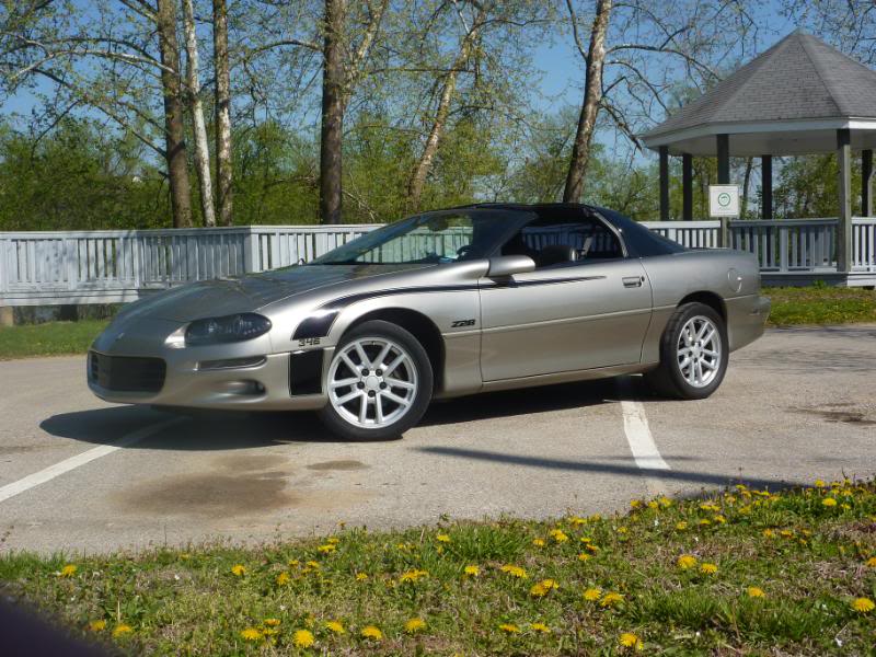 Name:  newcamarapicsofcamaro013-1.jpg
Views: 57
Size:  112.9 KB