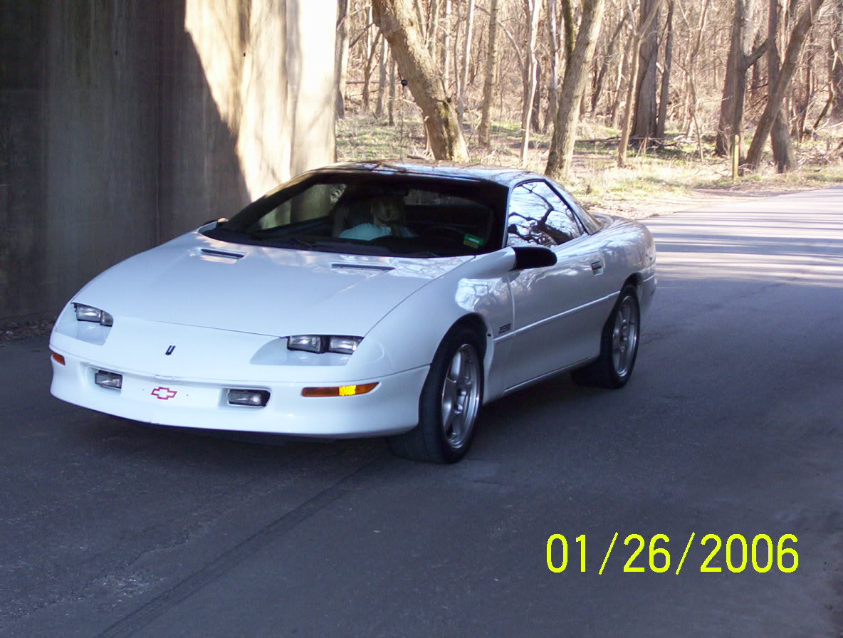 Name:  castlewoodpark002.jpg
Views: 57
Size:  156.2 KB