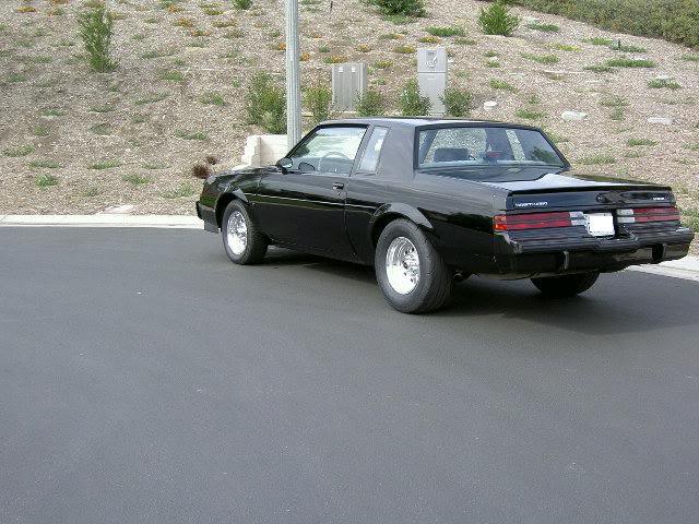 Name:  backangle.jpg
Views: 13
Size:  65.0 KB