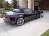 Hello from Texas-resize1.jpg