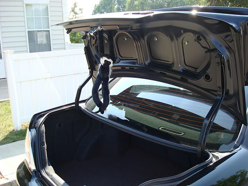 Name:  trunkmonkey.jpg
Views: 20
Size:  48.0 KB