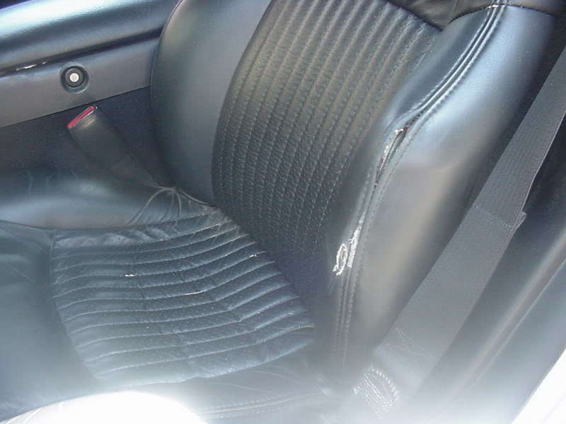 Name:  leesvetseatwearpic.jpg
Views: 24
Size:  55.5 KB