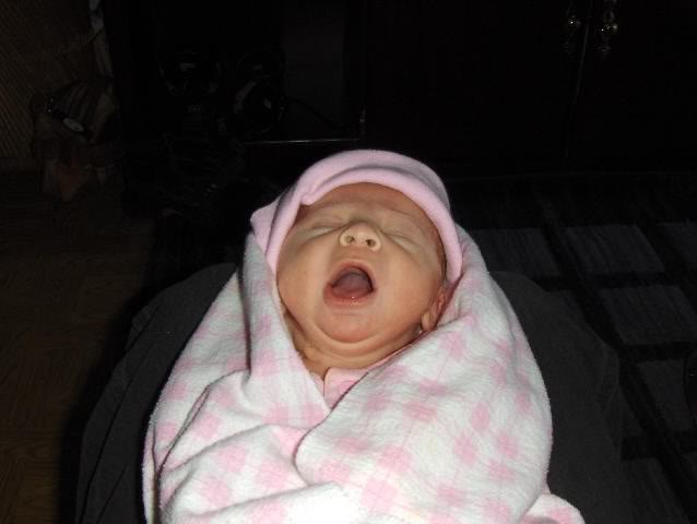 Name:  Shayla.jpg
Views: 18
Size:  25.7 KB