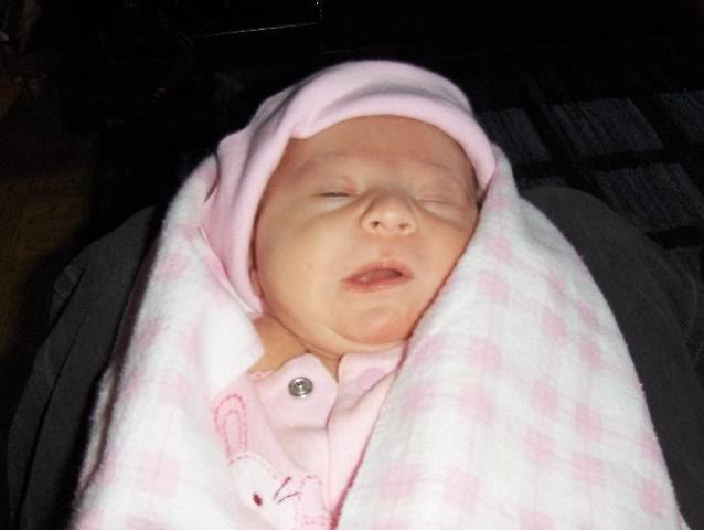 Name:  Shayla2.jpg
Views: 17
Size:  27.1 KB