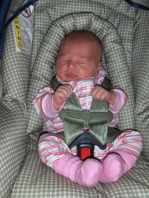 Name:  Shayla1.jpg
Views: 19
Size:  70.7 KB
