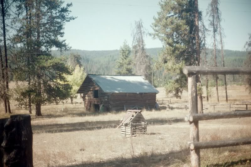 Name:  IMG012.jpg
Views: 23
Size:  94.5 KB
