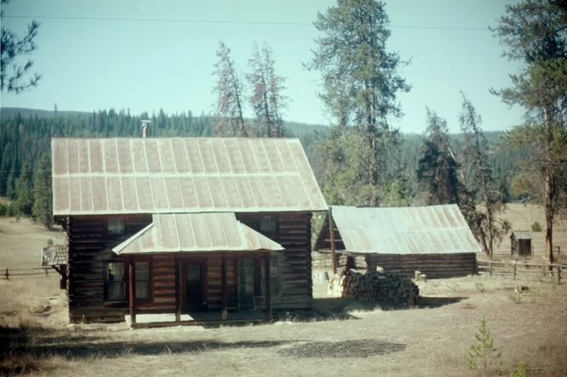 Name:  IMG011.jpg
Views: 29
Size:  80.3 KB
