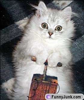 Name:  dynamitekitty.jpg
Views: 19
Size:  18.9 KB