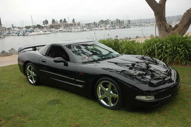 Name:  wing1.jpg
Views: 20
Size:  67.2 KB