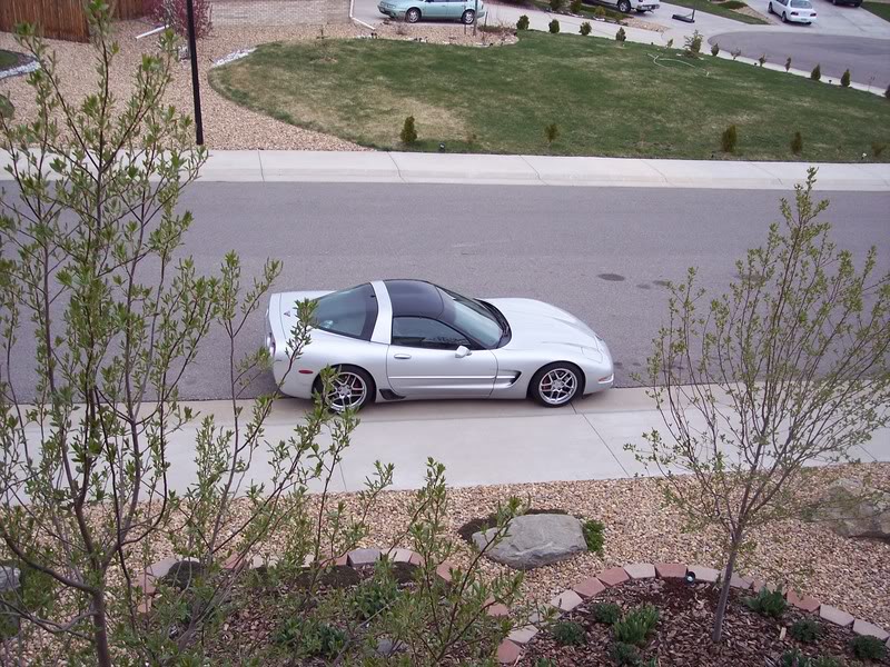Name:  vette1.jpg
Views: 78
Size:  161.4 KB