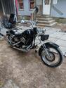 74HARLEY's Avatar