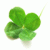 Linda_Pi's Avatar