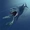 blueshark's Avatar